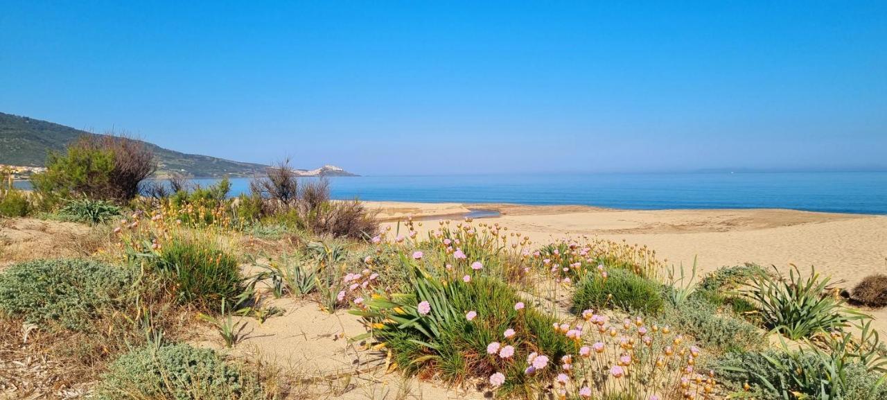 La Villetta Tre Palme Валледория Экстерьер фото